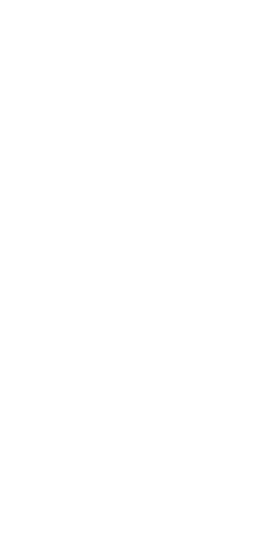 Phone Video Icon